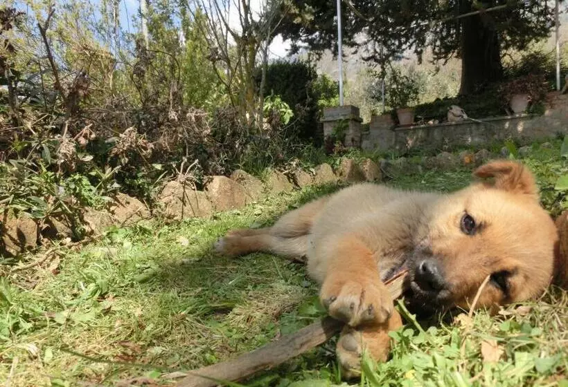 هتل Agriturismo Cuca