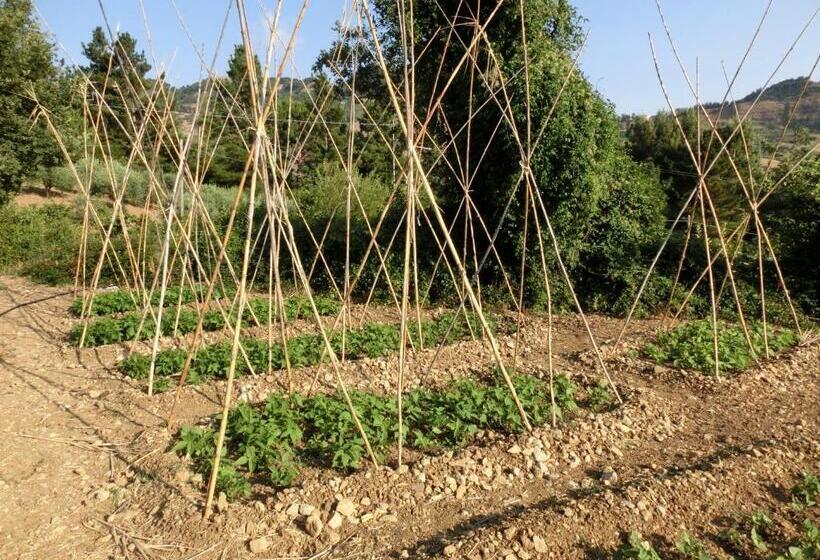 בית מלון כפרי Agriturismo Cuca