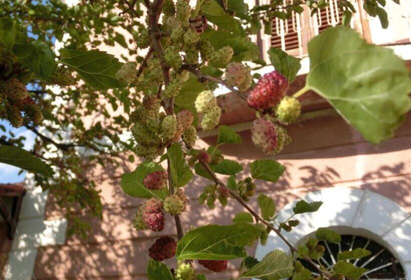 בית מלון כפרי Agriturismo Cuca