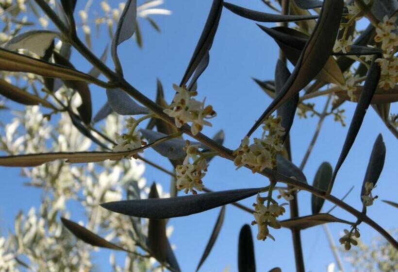 בית מלון כפרי Agriturismo Cuca