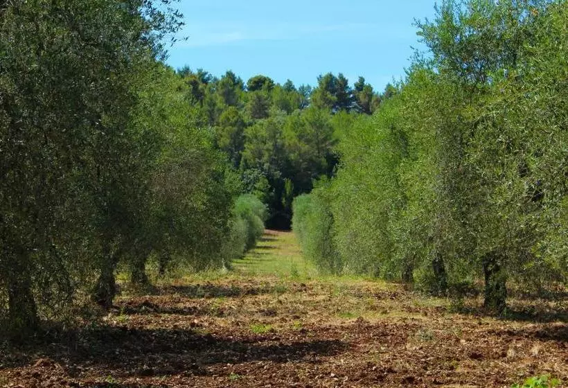 Hotelli Citrigni