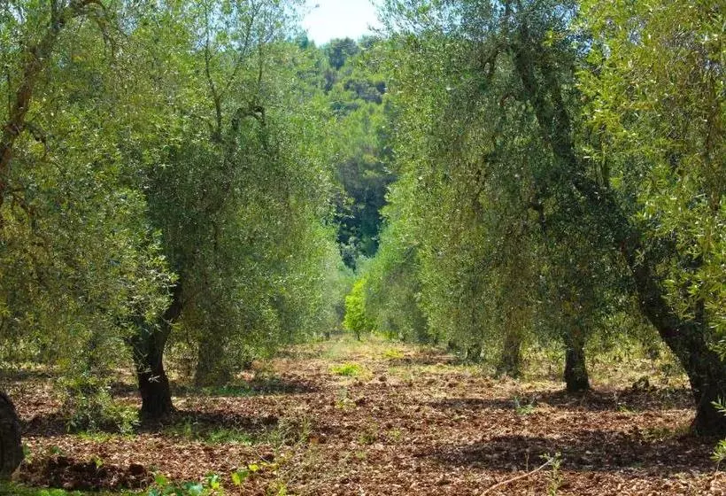 Hotelli Citrigni