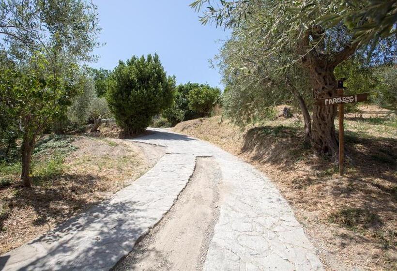 بنسيون La Casa Del Priore