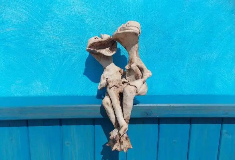 Majatalo Penzion Aida Ostrava