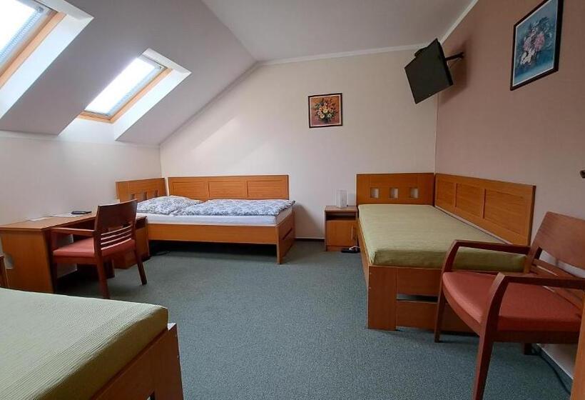 بنسيون Penzion Aida Ostrava