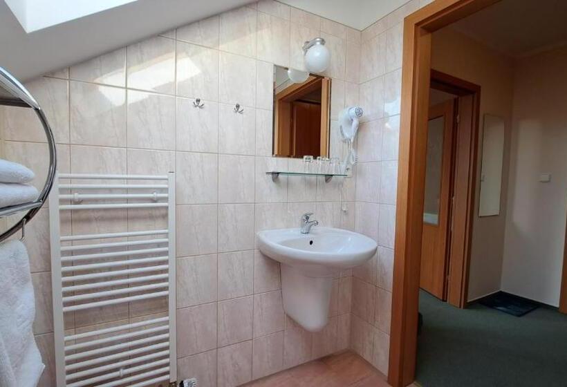 بنسيون Penzion Aida Ostrava