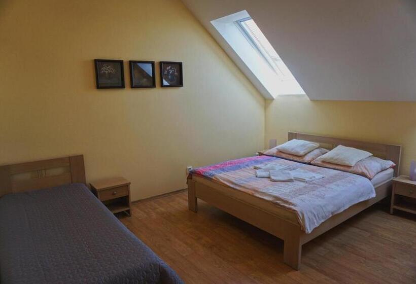 פנסיון Penzion U Bohuša