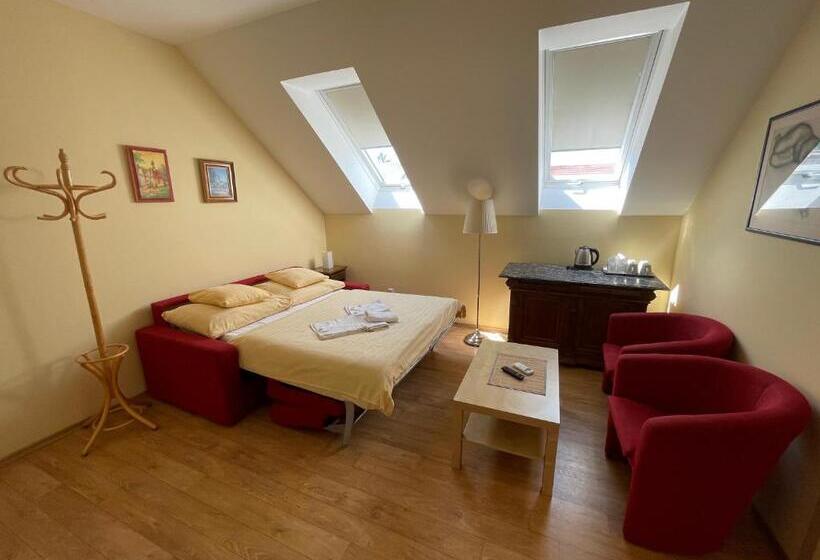 פנסיון Penzion U Bohuša