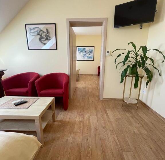 פנסיון Penzion U Bohuša