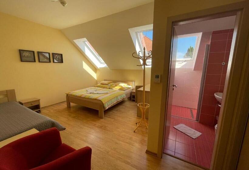 פנסיון Penzion U Bohuša