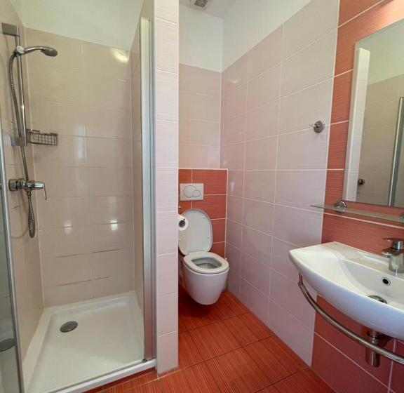 פנסיון Penzion U Bohuša