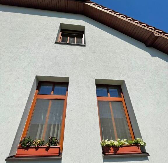 פנסיון Penzion U Bohuša