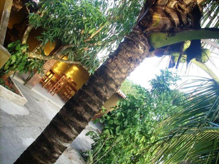 Пансион Pousada água De Côco