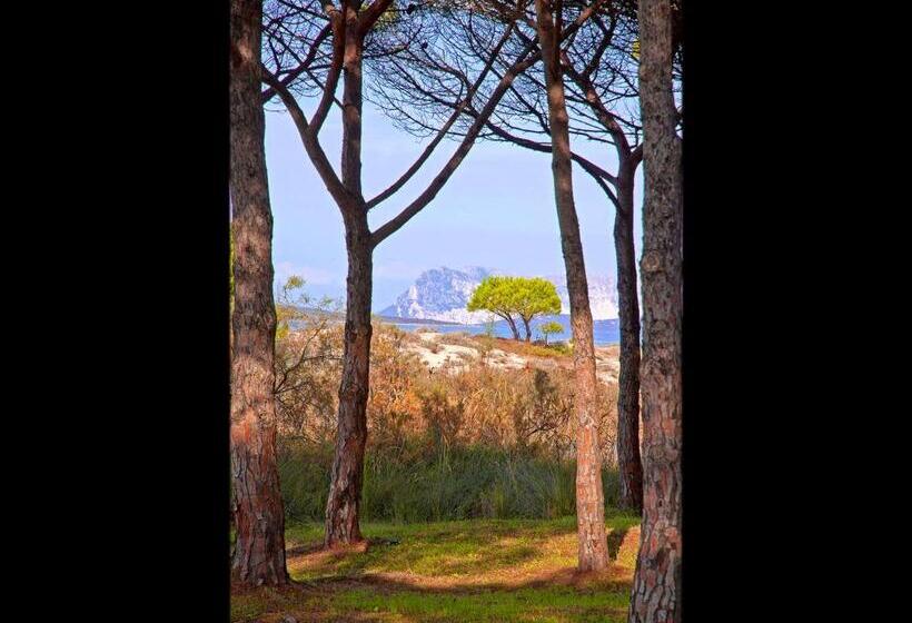 Residenze Mare E Pineta