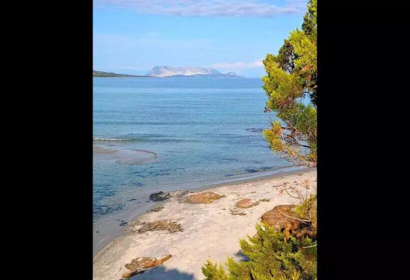 Residenze Mare E Pineta