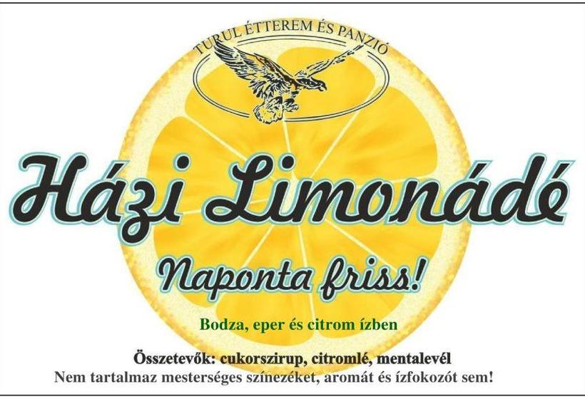 Turul étterem és Panzió