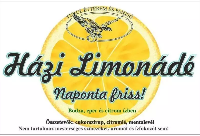 Turul étterem és Panzió