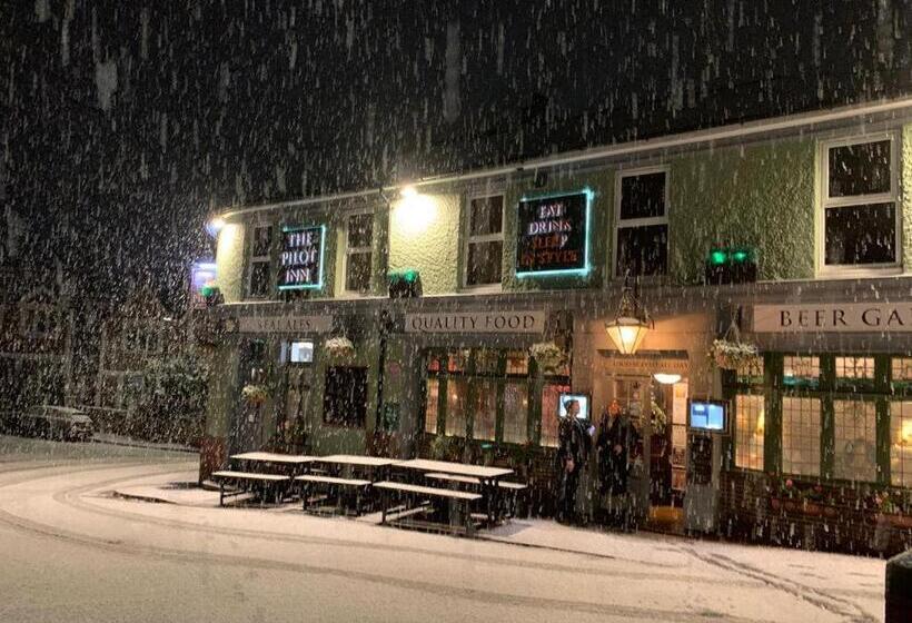 فندق صغير The Pilot Inn