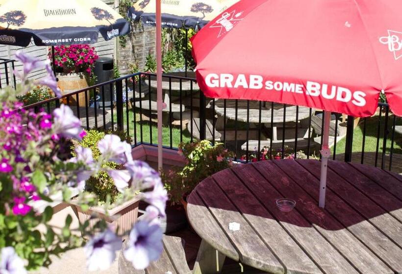 فندق صغير The Pilot Inn