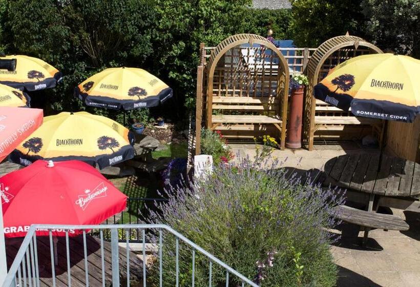 فندق صغير The Pilot Inn