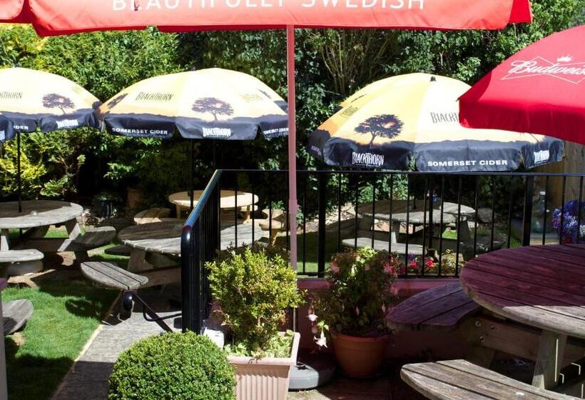 فندق صغير The Pilot Inn