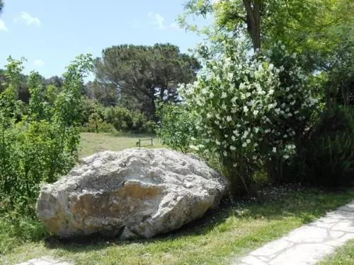 ホテル Agriturismo Le Pellicce