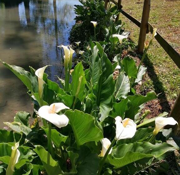 Hotell Agriturismo Villa Trovatore