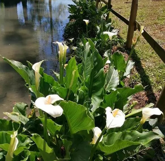 ホテル Agriturismo Villa Trovatore