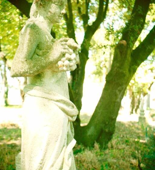 Hotell Agriturismo Villa Trovatore