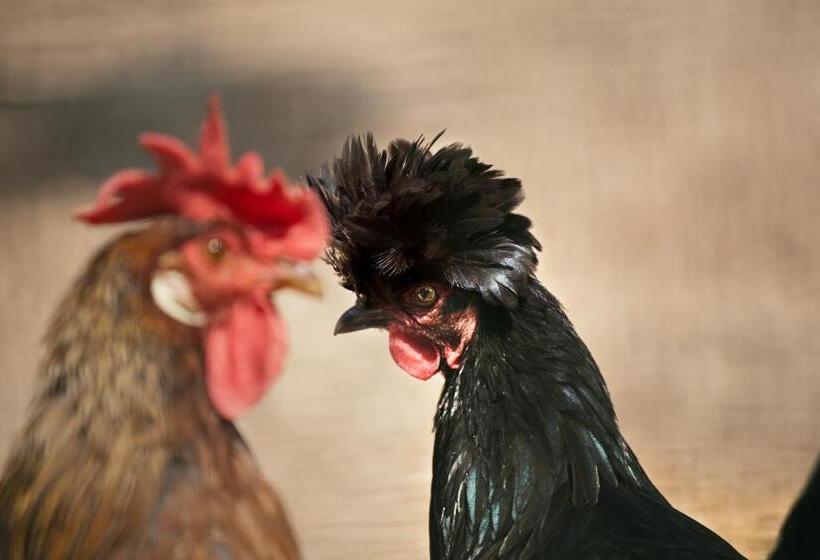 ホテル Corte All'olmo