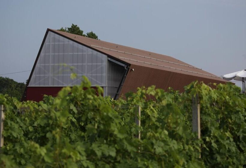 호텔 Eco Bio Agriturismo La Bella Vite