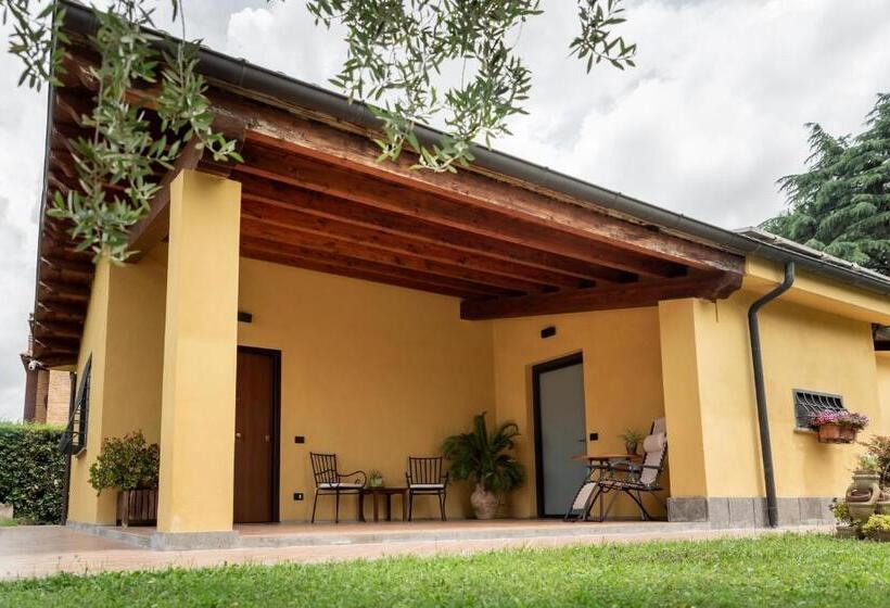 بنسيون L Antico Vigneto