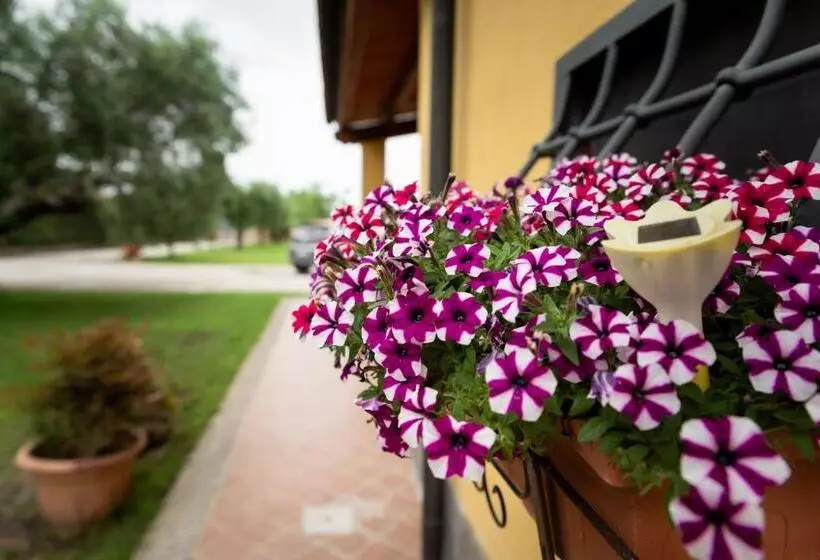 Majatalo L Antico Vigneto