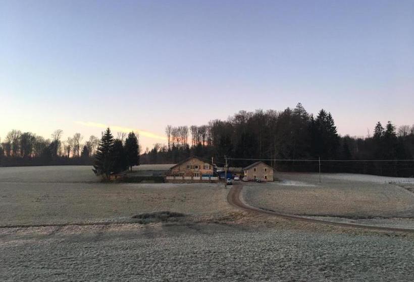 Пансион Maison Carmen   Restaurant , Meublé De Tourisme, Appartements