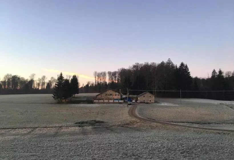 Majatalo Maison Carmen   Restaurant , Meublé De Tourisme, Appartements