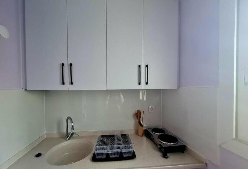 بنسيون Domizil Lina Art