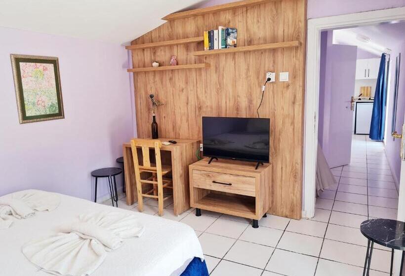 بنسيون Domizil Lina Art