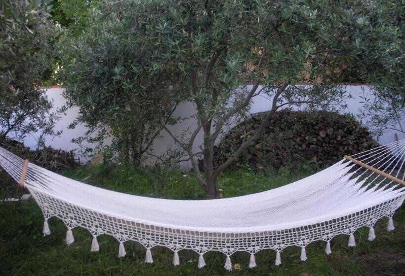 بنسيون Domizil Lina Art