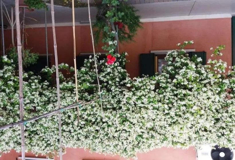 ペンション Dreon B&b