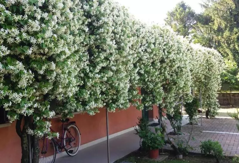 ペンション Dreon B&b