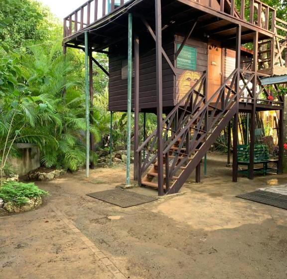 پانسیون Tbird On The Cliffs