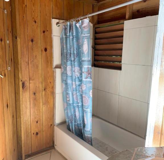 پانسیون Tbird On The Cliffs