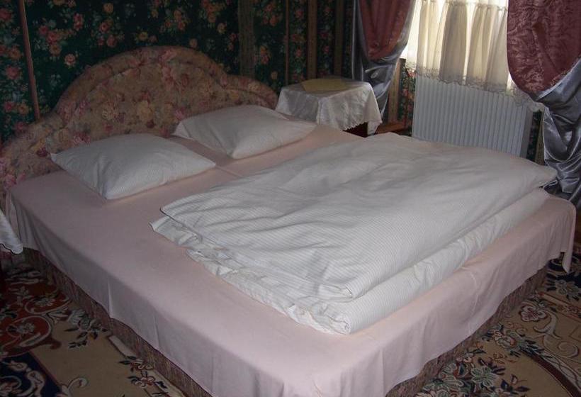 Pension Zámek Rudník