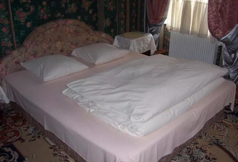 Pension Zámek Rudník