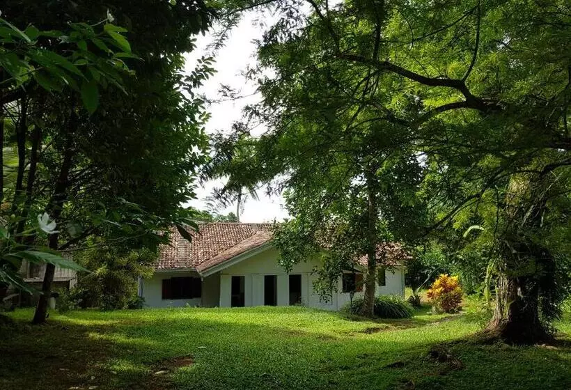 Hotelli Chitra Ayurveda