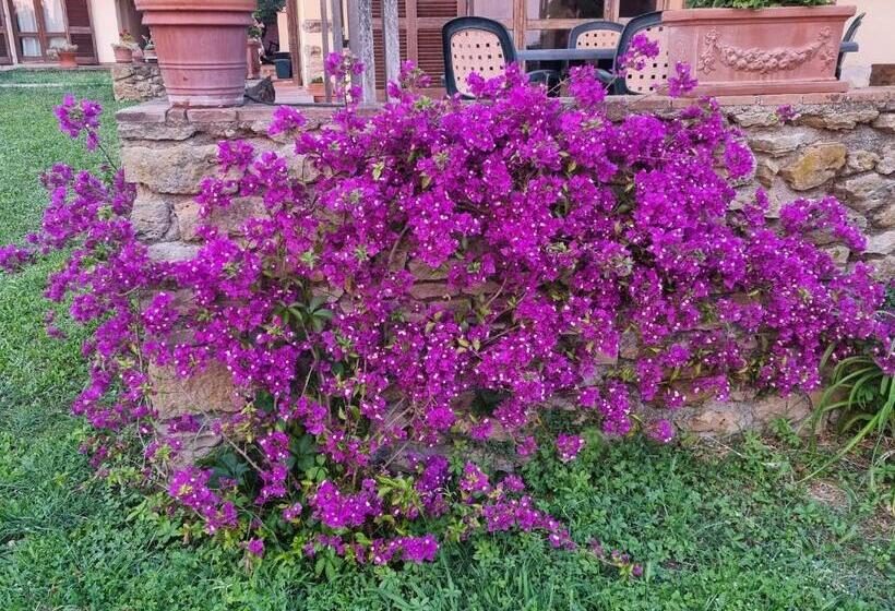 فندق Vigna Lontana