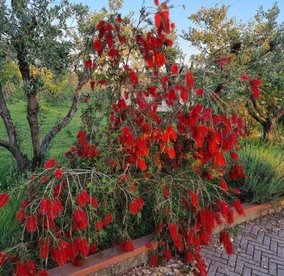 فندق Vigna Lontana