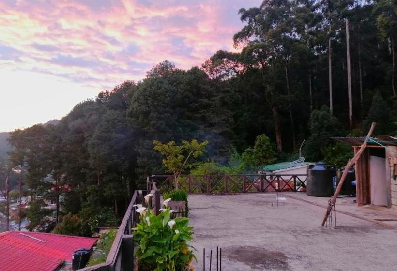 بنسيون Chez Allen