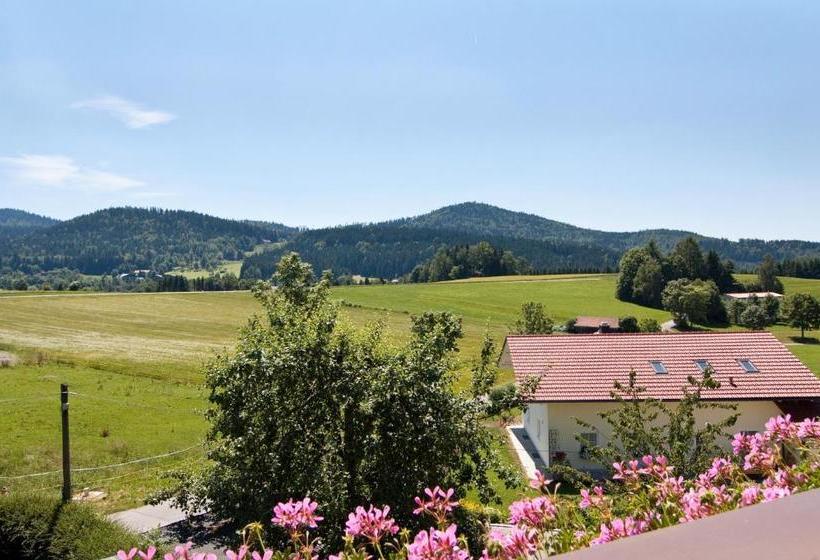 بنسيون Haus Leutner