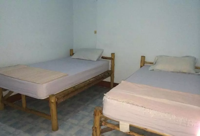 پانسیون Kiwi Orchid & Pl Guesthouse